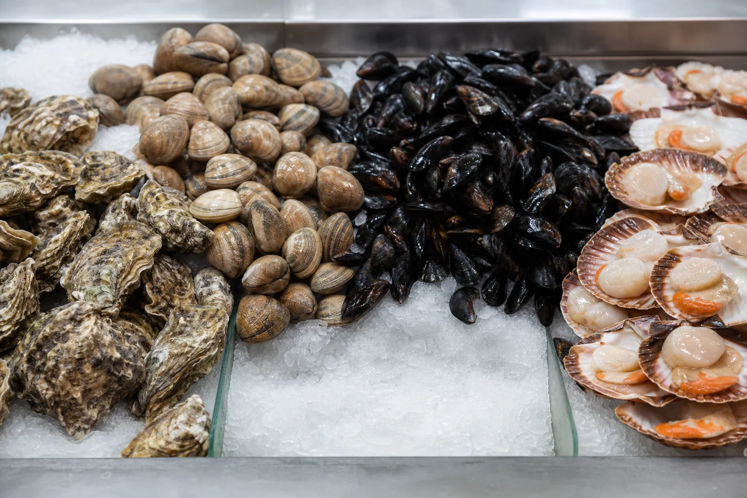Molluscs Allergy Dietary Guide: Oysters, Clams, Mussels, and the US Labeling Gap
